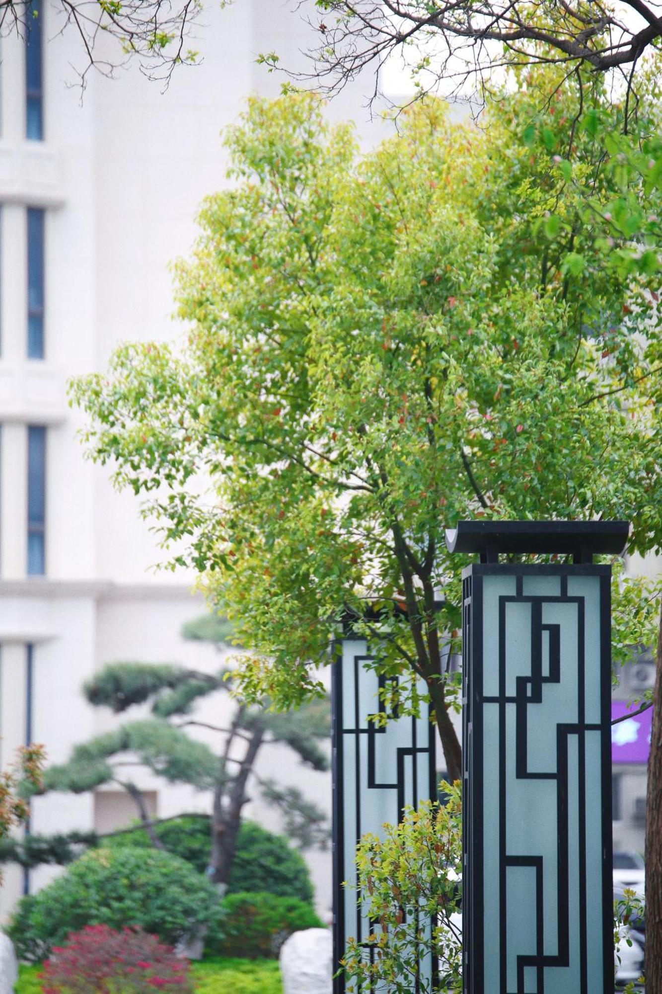 Holiday Inn Zhengzhou Zhongzhou By Ihg Luaran gambar
